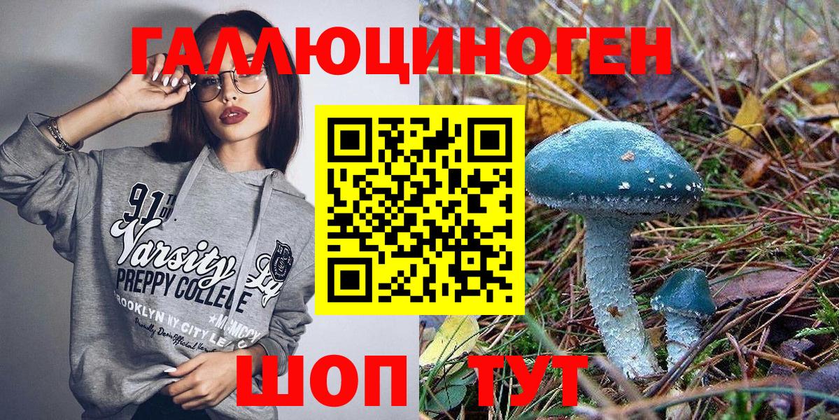 Екатеринбург  Псилоцибиновые грибы Psilocybine cubensis  Вход с VPN 