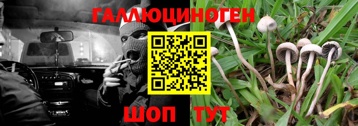 Галлюциногенные грибы Cubensis Екатеринбург
